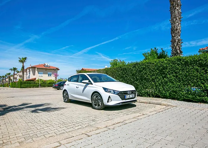 Paradise Town Lucky فيلة *