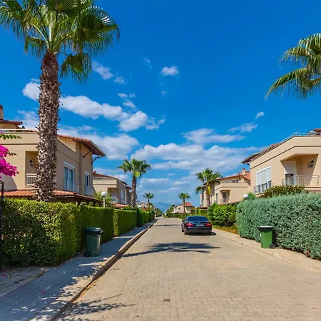 Paradise Town Lucky *