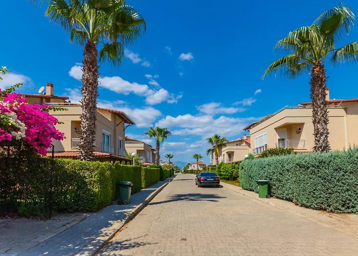 Paradise Town Lucky *